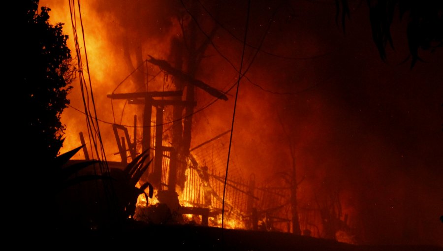 Aumentan a 110 las hectáreas consumidas por el incendio forestal en Viña: siniestro presenta rápida propagación y alta intensidad calórica