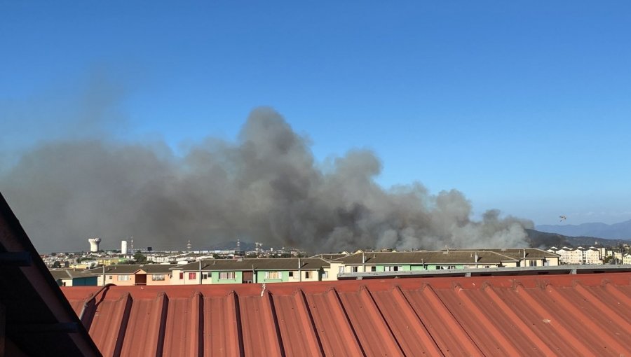 Incendio forestal con peligro de propagación a viviendas se registra en sector Agua Santa de Viña del Mar