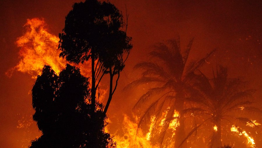 Gobierno declara Estado de Excepción Constitucional de Catástrofe por Calamidad Pública debido al incendio en Viña del Mar
