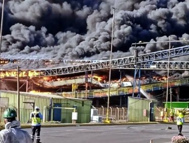 Puerto Ventanas informó que incendio en cinta transportadora de graneles sólidos en Puchuncaví se produjo de forma "intempestiva e imprevista"
