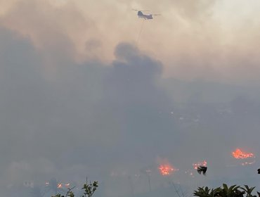 Incendio forestal en la parte alta de Viña del Mar ya habría afectado al menos a 20 viviendas