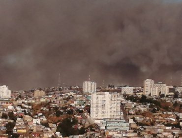 Declaran Alerta Roja para Viña del Mar por incendio forestal de rápida propagación y alta intensidad en Agua Santa