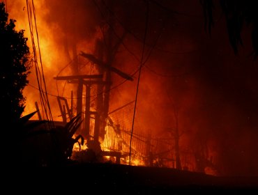 Aumentan a 110 las hectáreas consumidas por el incendio forestal en Viña: siniestro presenta rápida propagación y alta intensidad calórica