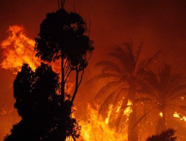Gobierno declara Estado de Excepción Constitucional de Catástrofe por Calamidad Pública debido al incendio en Viña del Mar