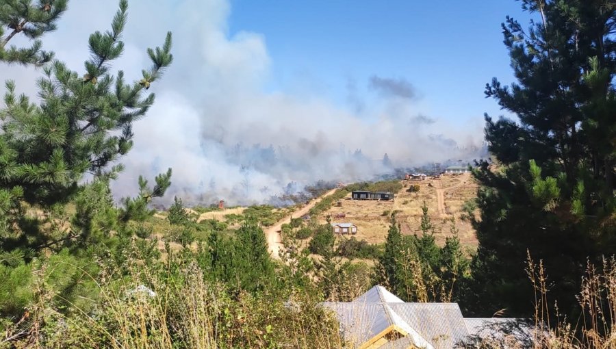 Declaran Alerta Roja en Santo Domingo por incendio forestal que presenta cercanía a sectores habitados