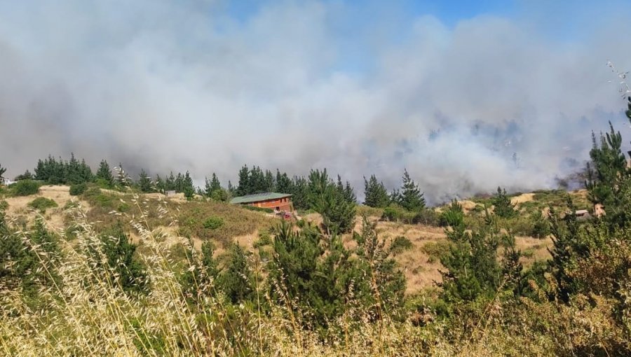 Aumentan a 150 las hectáreas consumidas por incendio que se mantiene activo con avance rápido y alta intensidad en Santo Domingo
