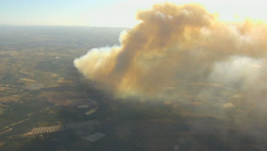 40 hectáreas ha consumido el incendio forestal que presenta avance rápido y alta intensidad en Santo Domingo