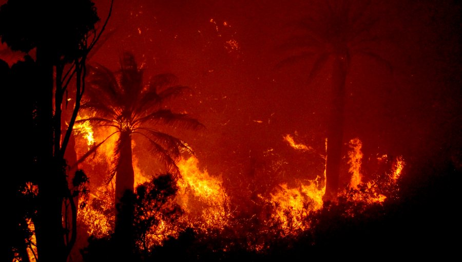 La impactante imagen que evidencia la cercanía del incendio con el anfiteatro de la Quinta Vergara de Viña del Mar