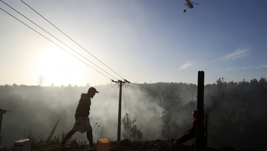 Incendio en Viña del Mar se encuentra confinado pero aún no controlado: trabajos se centran en evitar reactivación de las llamas