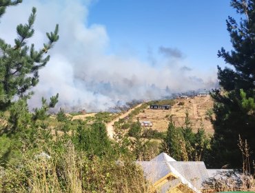 Declaran Alerta Roja en Santo Domingo por incendio forestal que presenta cercanía a sectores habitados