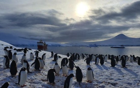 Rodeadas de pingüinos e icebergs: Asi se pasa la Navidad en la oficina de correos del fin del mundo