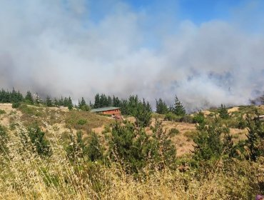 Aumentan a 150 las hectáreas consumidas por incendio que se mantiene activo con avance rápido y alta intensidad en Santo Domingo