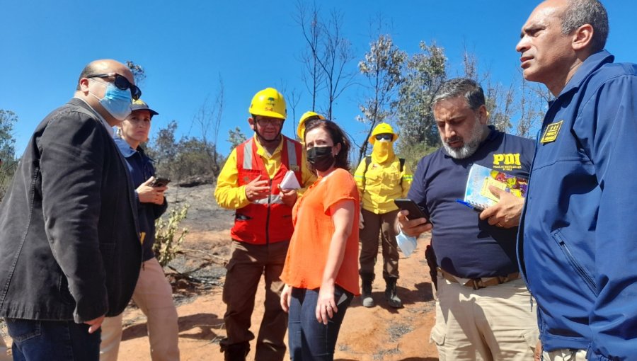 Fiscalía y Bidema inician diligencias investigativas para determinar origen y presuntos responsables del incendio en Viña