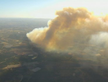 40 hectáreas ha consumido el incendio forestal que presenta avance rápido y alta intensidad en Santo Domingo