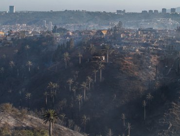 Jefe de Defensa en Viña fija prioridades por incendio: "Proteger la vida, la salud de las personas y contener la emergencia"