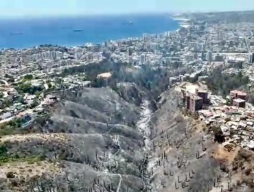 Registro aéreo da cuenta de la magnitud del megaincendio en la parte alta de Viña del Mar