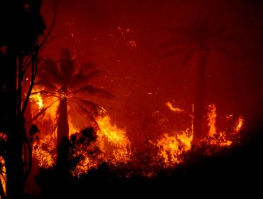 La impactante imagen que evidencia la cercanía del incendio con el anfiteatro de la Quinta Vergara de Viña del Mar