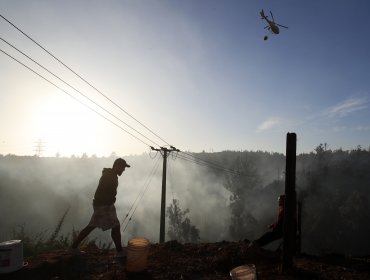 Incendio en Viña del Mar se encuentra confinado pero aún no controlado: trabajos se centran en evitar reactivación de las llamas