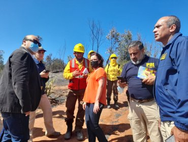 Fiscalía y Bidema inician diligencias investigativas para determinar origen y presuntos responsables del incendio en Viña