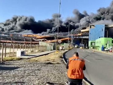 Incendio en correa transportadora de Puerto Ventanas ha impedido el desarrollo de operaciones en el terminal de Puchuncaví