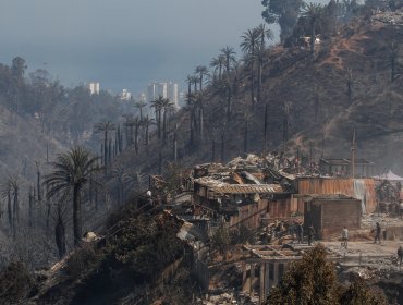 A casi 48 horas de la Catástrofe de Viña del Mar aún autoridades no pueden determinar cuántas casas y familias son las afectadas