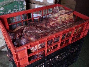 Más de 1 tonelada de carne en mal estado fue decomisada tras fiscalización a distribuidora de alimentos en Villa Alemana