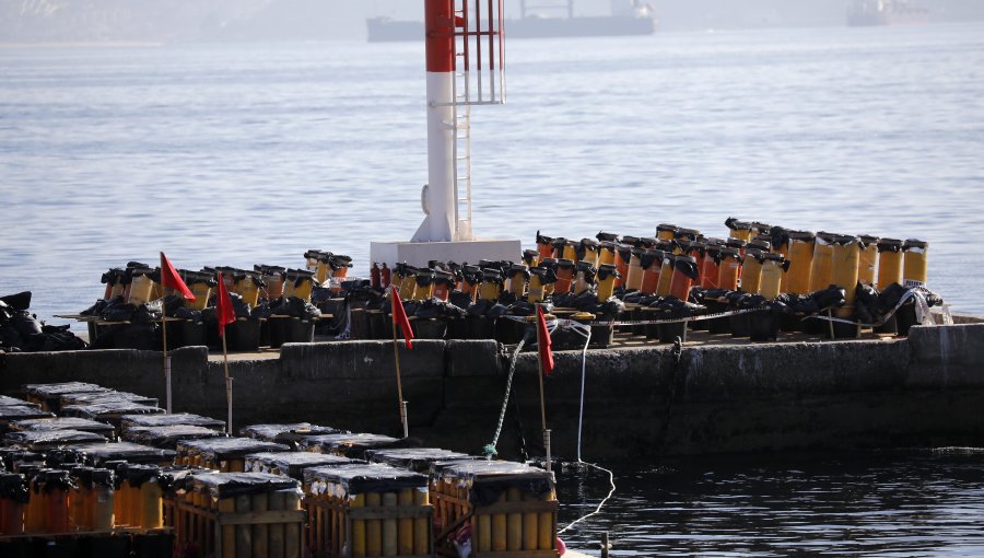 Así es el procedimiento que determinará si los fuegos artificiales de Valparaíso y Viña del Mar son aptos para el show de Año Nuevo