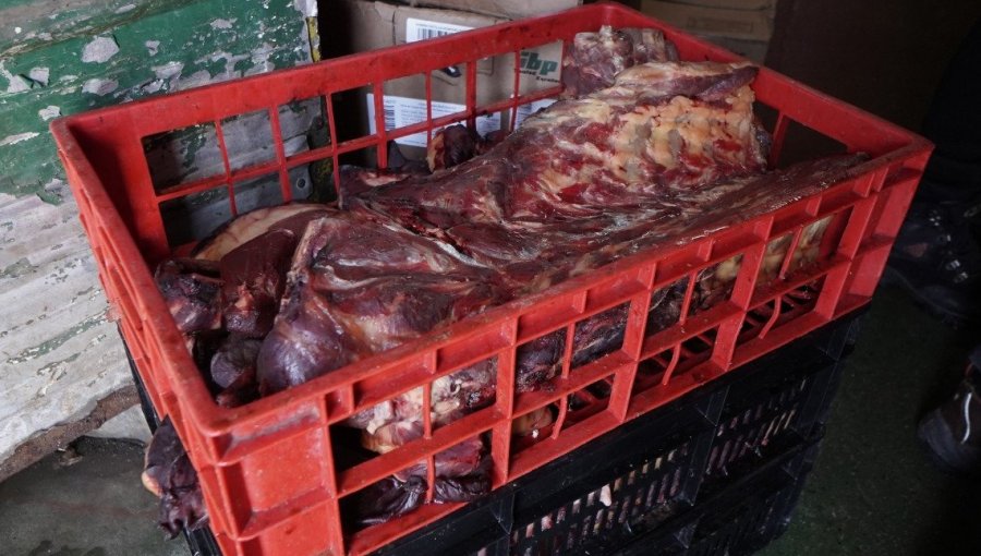 Más de 1 tonelada de carne en mal estado fue decomisada tras fiscalización a distribuidora de alimentos en Villa Alemana