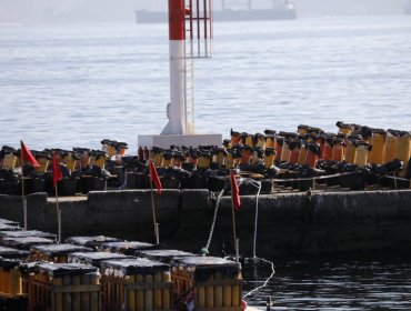 Así es el procedimiento que determinará si los fuegos artificiales de Valparaíso y Viña del Mar son aptos para el show de Año Nuevo