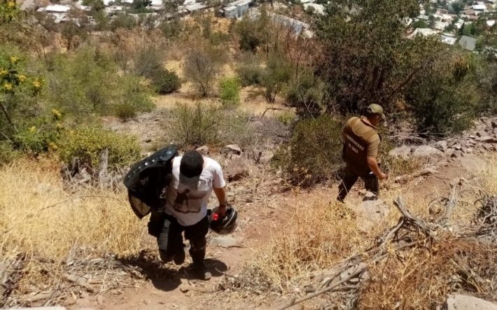 Persona cayó a quebrada desde una altura cercana a los 20 metros en sector Forestal Alto de Viña del Mar