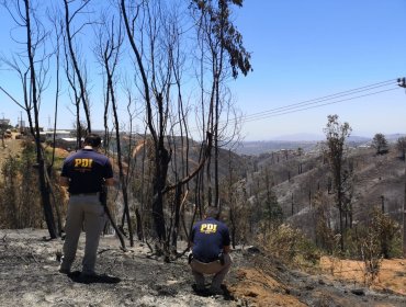 Megaincendio en Viña del Mar: Tesis de Fiscalía apunta a sujetos que consumían droga en un sitio eriazo de la villa Nueva Esperanza