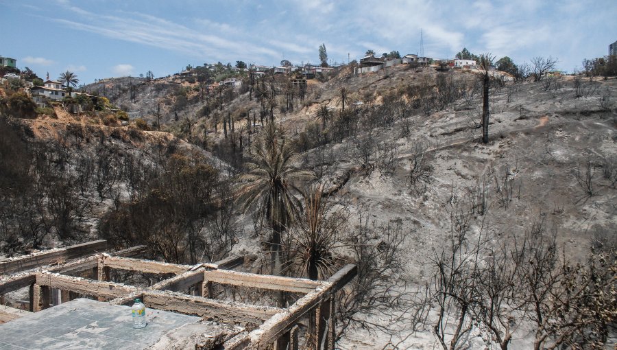 Se inician Escuelas Abiertas dirigidas a niños, niñas y adolescentes de las zonas siniestradas por el incendio en Viña del Mar