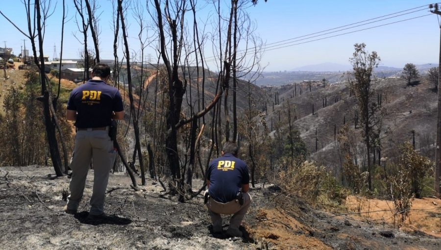 Megaincendio en Viña del Mar: Tesis de Fiscalía apunta a sujetos que consumían droga en un sitio eriazo de la villa Nueva Esperanza