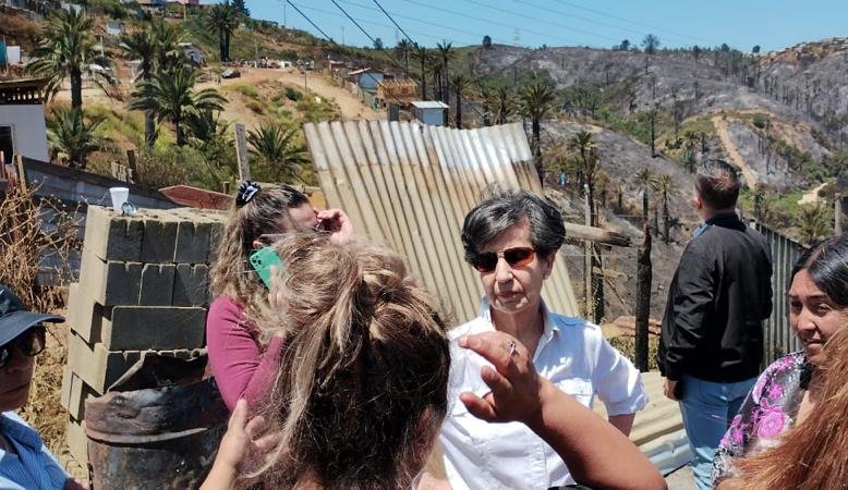 Senadora Allende llamó a "proteger y restaurar" el Parque Kan Kan tras megaincendio en Viña del Mar