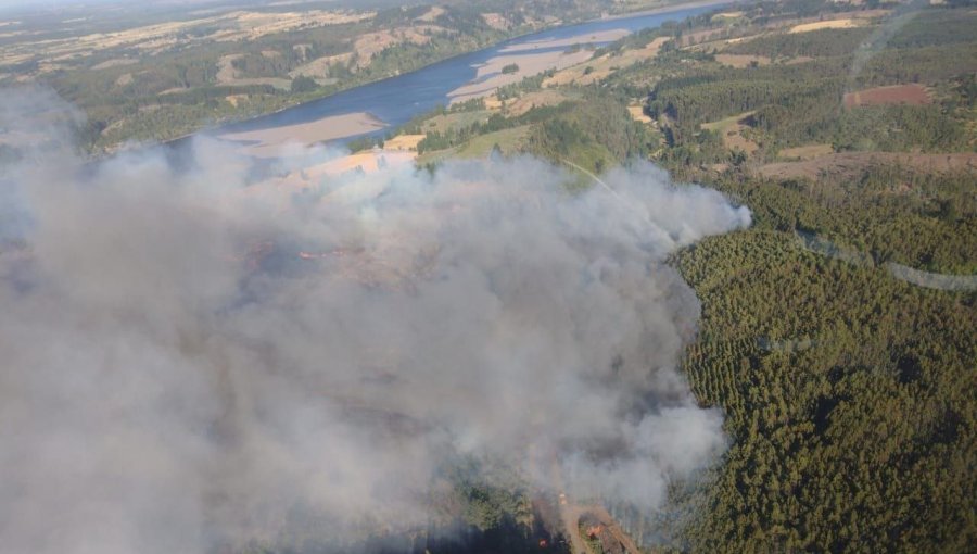 Declaran Alerta Roja para la comuna de Nacimiento por incendio forestal que ya ha consumido 100 hectáreas