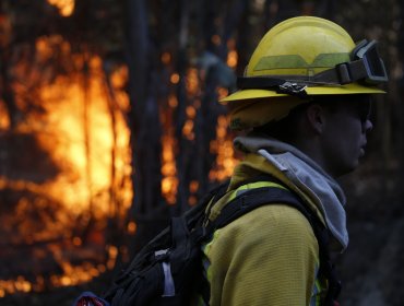 La emergencia de los brigadistas de Conaf: Diputados de Valparaíso presentan oficio y piden "gran gesto" para resolver sus demandas