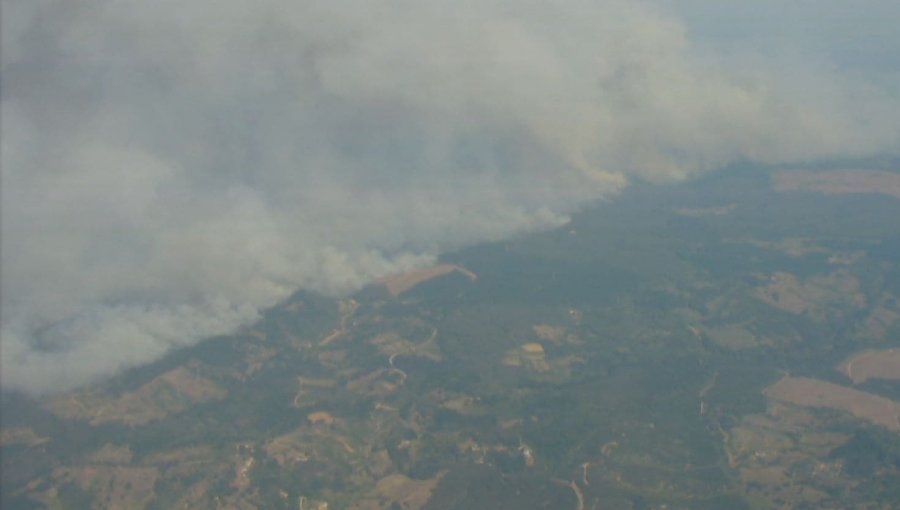 Más de 4 mil hectáreas ha consumido el incendio forestal en Nacimiento y Santa Juana: presenta rápida velocidad de propagación