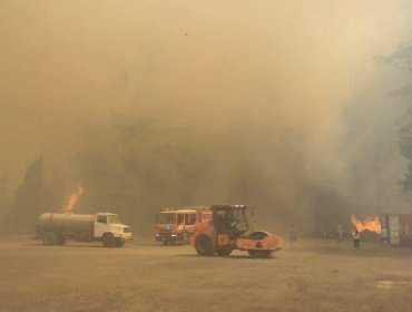 Onemi activó la mensajería SAE y solicitó evacuar tres sectores de la comuna de Cabrero por incendio forestal