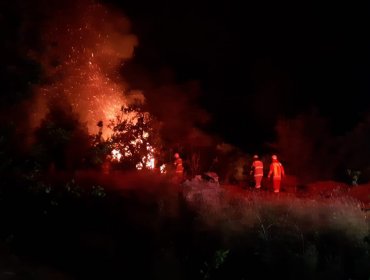 Onemi solicitó evacuar sector Los Guindos por incendio forestal en Valdivia