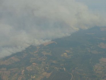 Más de 4 mil hectáreas ha consumido el incendio forestal en Nacimiento y Santa Juana: presenta rápida velocidad de propagación