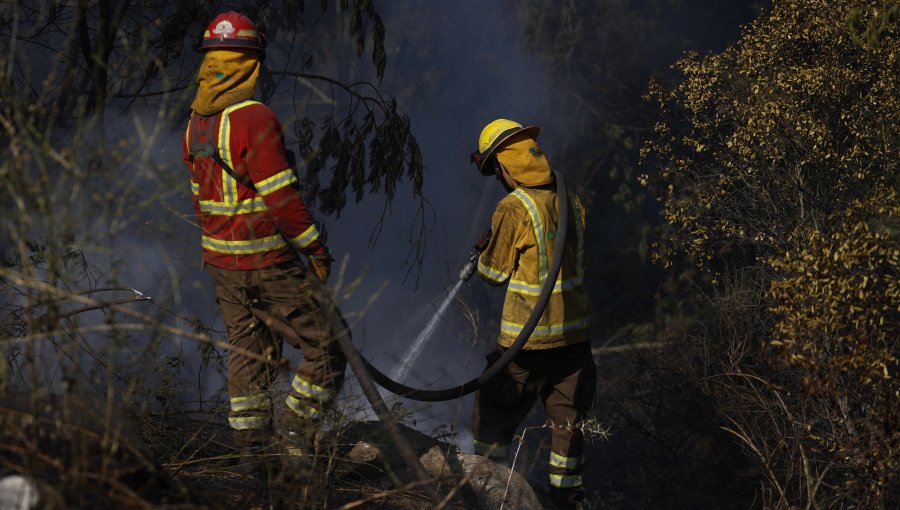 Alerta Roja por incendio forestal en Galvarino: al menos 350 hectáreas afectadas