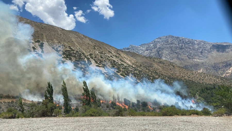 Alerta Roja en San José de Maipo por incendio forestal cercano a sectores poblados
