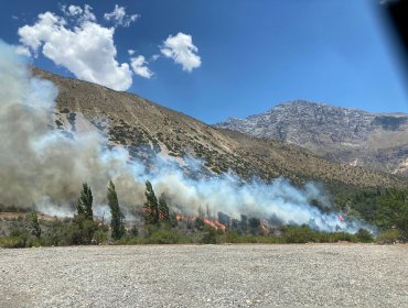 Alerta Roja en San José de Maipo por incendio forestal cercano a sectores poblados