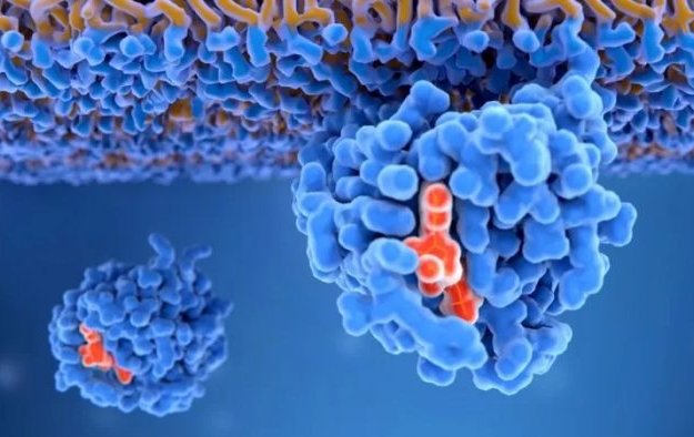 KRAS: La proteína "maldita" del cáncer que es el objetivo de las investigaciones para los tratamientos modernos