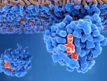 KRAS: La proteína "maldita" del cáncer que es el objetivo de las investigaciones para los tratamientos modernos