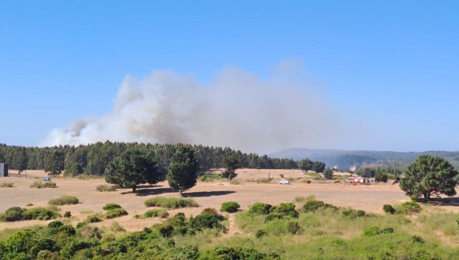 Declaran Alerta Roja para la comuna de Talcahuano por incendio forestal que presenta cercanía a sectores habitados