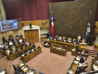 Senado aprueba y despacha a la Cámara de Diputados el proyecto que habilita el nuevo proceso constituyente