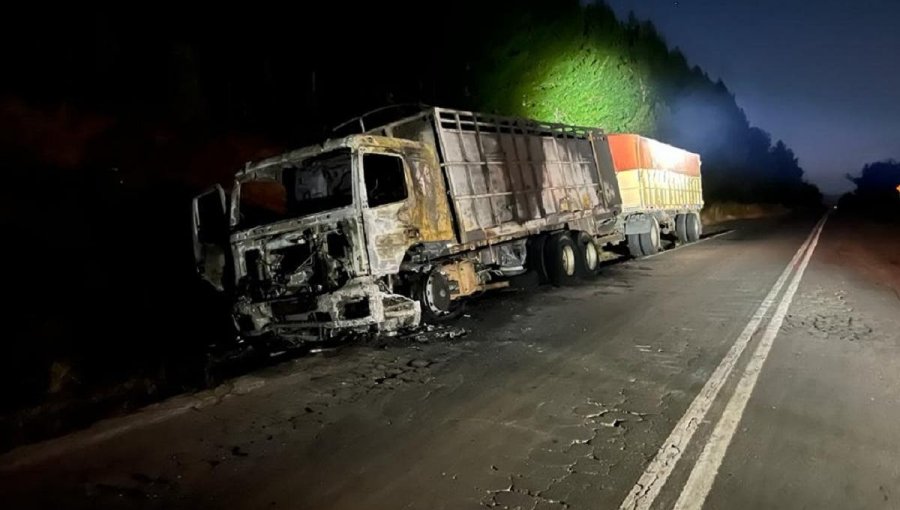 La CAM se adjudicó ataque incendiario contra camión en la ruta que une Traiguén con Los Sauces, en La Araucanía