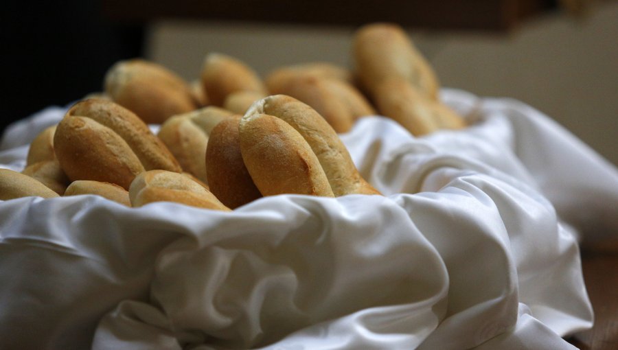 Precio del pan se mantendría estable tras positivas proyecciones para el trigo este 2023