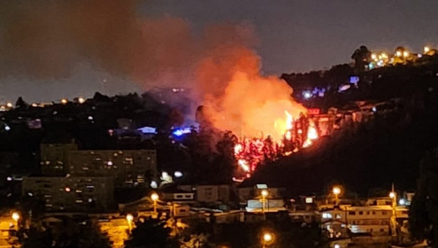 Incendio forestal se registró durante la madrugada en el cerro Rodelillo de Valparaíso: fuego no afecto a viviendas